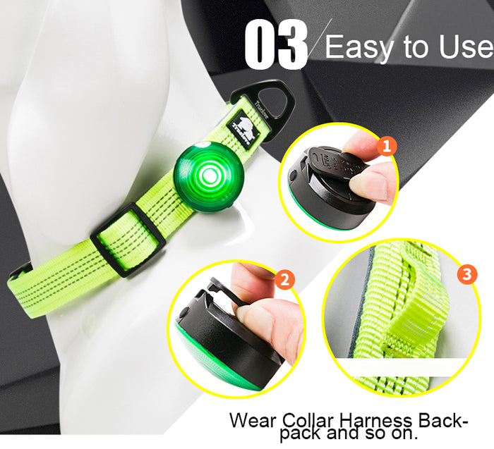 PawNova GlowGuard™ LED Collar